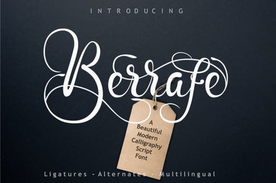 Berrafe Font Font Leamsign Studio 