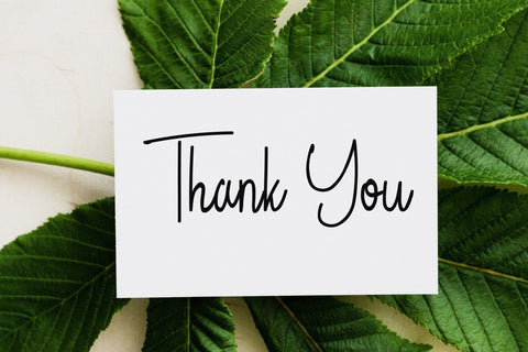 Bertany Font LetterdayStudio 