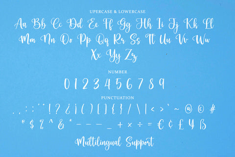 Berthalisa - Modern Calligraphy Font Font Alpaprana Studio 