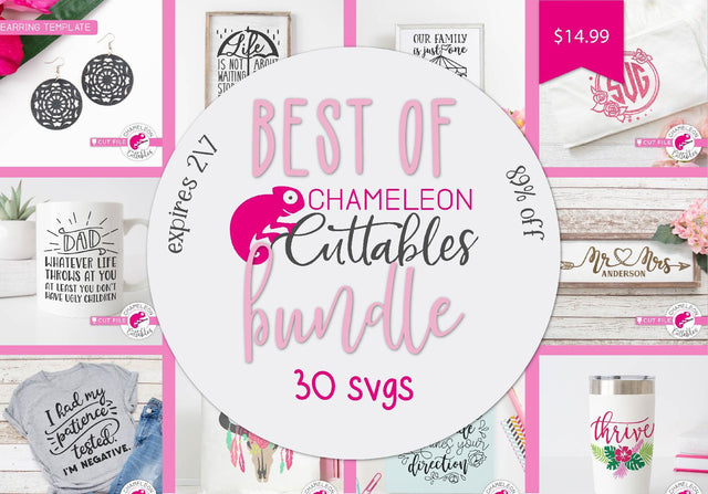 Best of Chameleon Cuttables Bundle Bundle So Fontsy Design Shop 