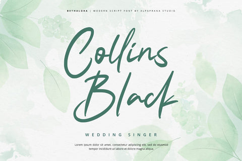 Bethalora - Modern Script Font Font Alpaprana Studio 