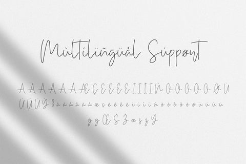 Bethan White - Monoline Script Font Font StringLabs 