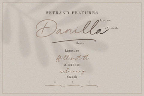 Betrand - Script Font Font Balevgraph Studio 