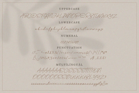 Betrand - Script Font Font Balevgraph Studio 