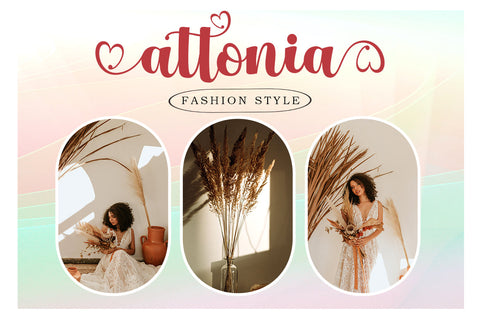 Better Spring Script Font AngelStudio 