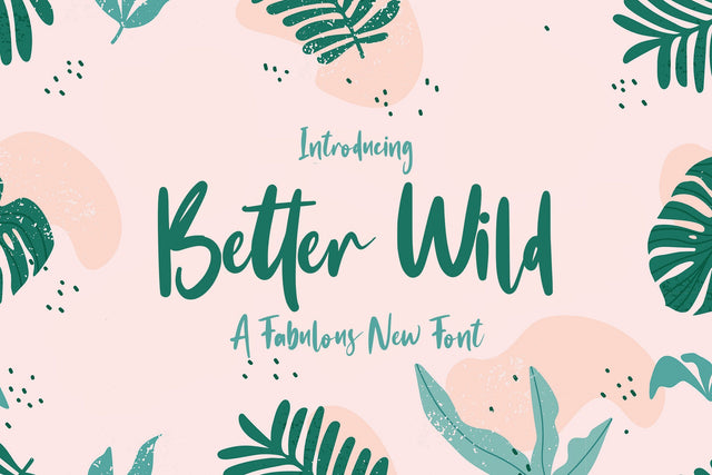 Better Wild Font (Script Fonts, Handwritten Fonts, Handwriting Fonts) Font Jupiter Studio Fonts 