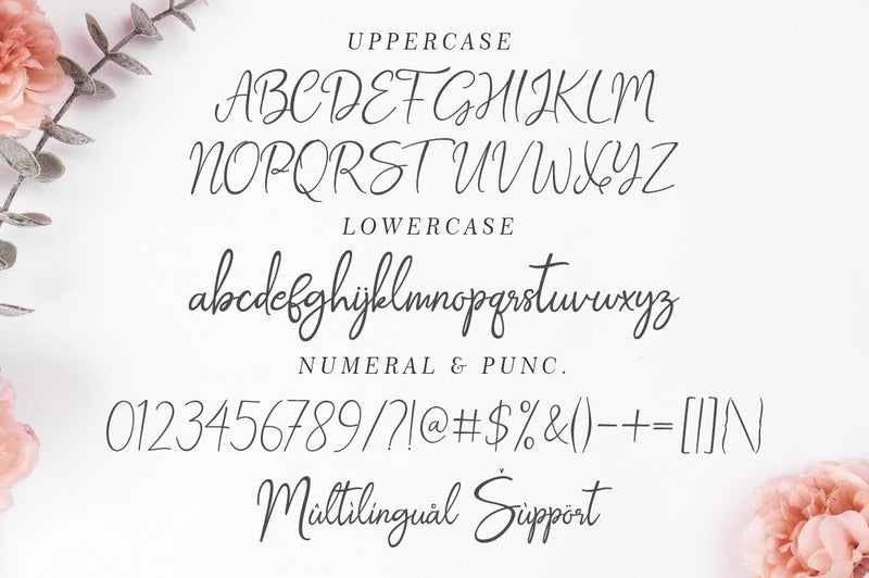 Beyllan Calligraphy Brush | So Fontsy