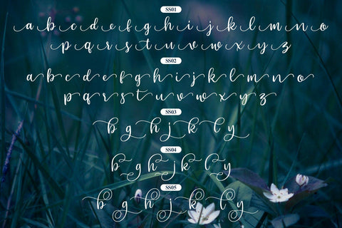 Beyond – Beauty Font Font Good Java 