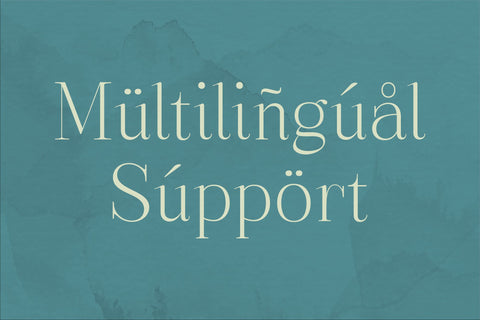 Bhinacle Typeface Font Storytype Studio 