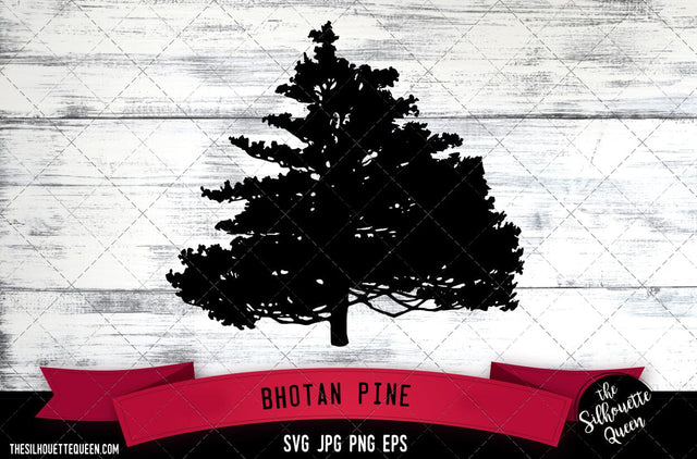 Bhotan Pine SVG -Vector Art Commercial & Personal Use- Cricut,Silhouette,Cameo,Vinyl Cut SVG Loveleen Kaur 