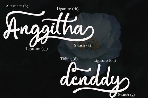 Bialletta Font Prasetya Letter 