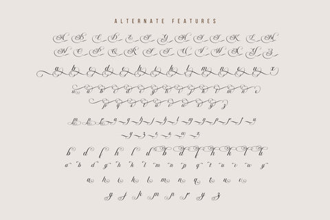 Bidena | Script Font Font twinletter 