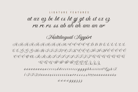 Bidena | Script Font Font twinletter 