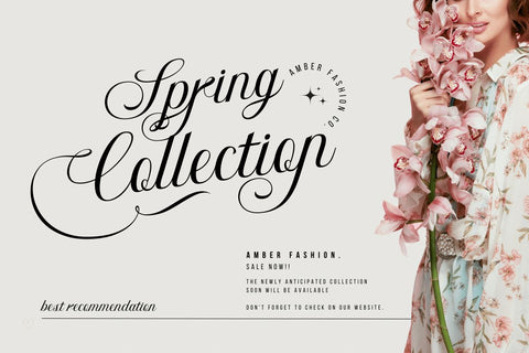 Bidena | Script Font Font twinletter 