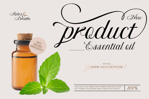 Bidena | Script Font Font twinletter 