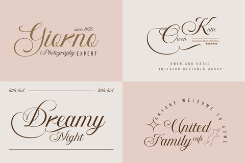 Bidena | Script Font Font twinletter 