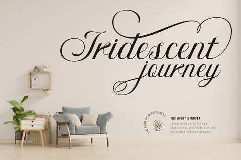 Bidena | Script Font Font twinletter 
