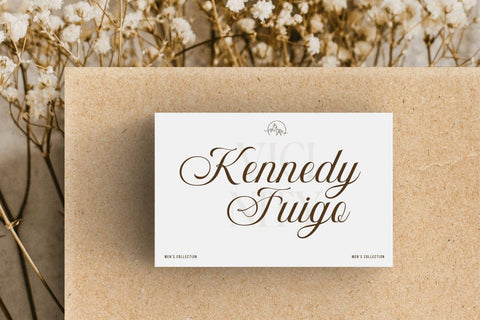 Bidena | Script Font Font twinletter 