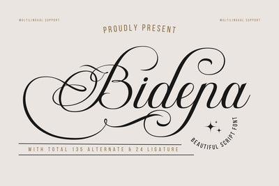 Bidena | Script Font Font twinletter 