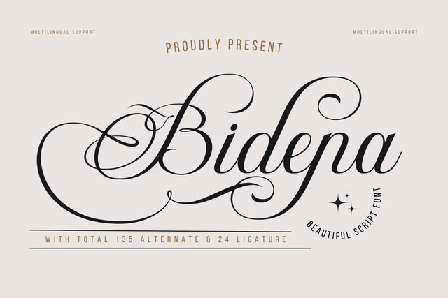 Bidena | Script Font Font twinletter 