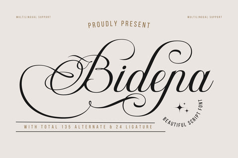 Bidena | Script Font Font twinletter 