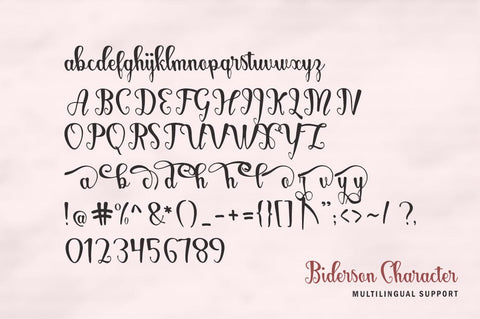 Biderson Script Font gatype 
