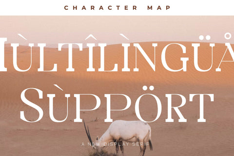 Bidgeto Typeface Font Storytype Studio 