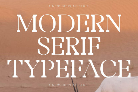 Bidgeto Typeface Font Storytype Studio 