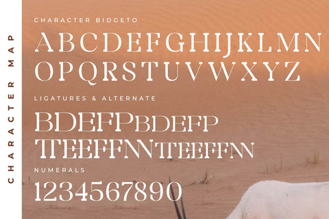 Bidgeto Typeface Font Storytype Studio 