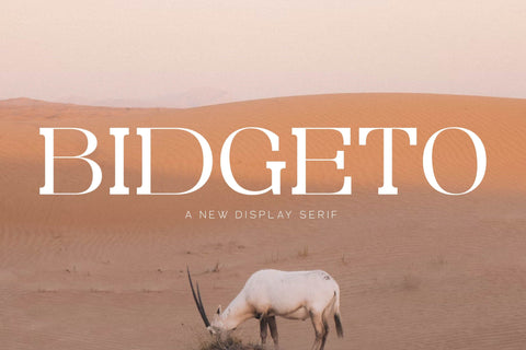 Bidgeto Typeface Font Storytype Studio 