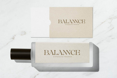 Bidgeto Typeface Font Storytype Studio 