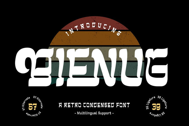 BIENUG | Serif Classic Modernism Font twinletter 