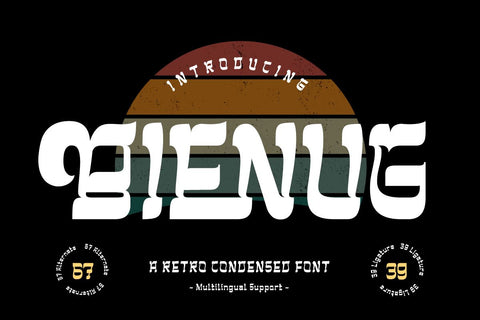 BIENUG | Serif Classic Modernism Font twinletter 