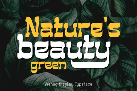 BIENUG | Serif Classic Modernism Font twinletter 