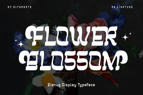 BIENUG | Serif Classic Modernism Font twinletter 