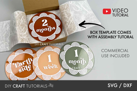 BIG Baby Milestone Disc SVG Bundle SVG DIY Craft Tutorials 