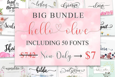 Big Bundle - Lovely Font Font Anastasia 