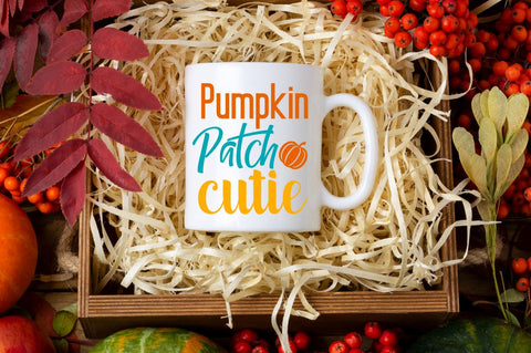 Big Fall SVG Bundle SVG Designangry 