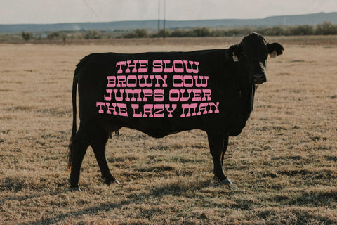 BIG RODHEO Typeface Font Storytype Studio 