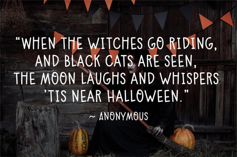 Big Scare Font Sunday Nomad 