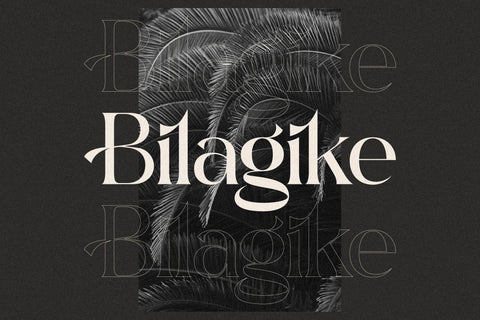 Bilagike Typeface Font Storytype Studio 
