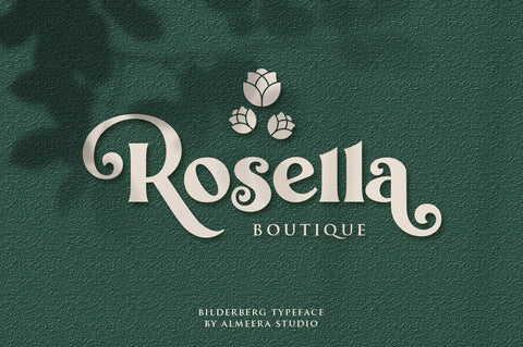 Bilderberg | Luxury Bold Serif Font studioalmeera 