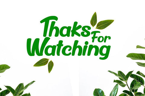 Billyer Font Holydie Studio 