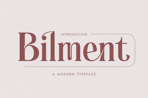 Bilment Typeface Font Storytype Studio 