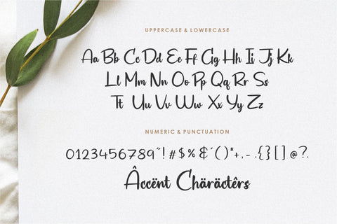 Biograf Modern Handwritten Font Font Balpirick 