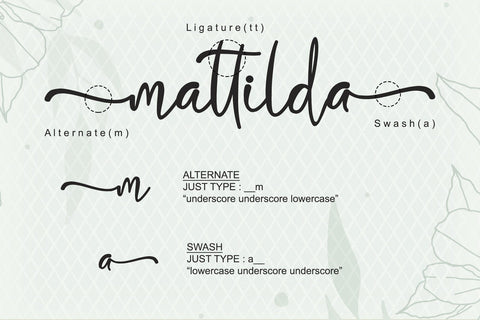 Biolina Larasita Font Afandi Studio 