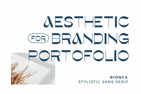 Bionca Font Zeenesia Std 