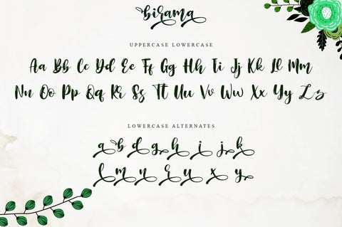 Birama a Beauty Modern Calligraphy Script Font Haksen 