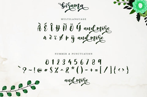 Birama a Beauty Modern Calligraphy Script Font Haksen 