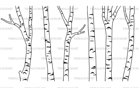 Birch tree black and white SVG TribaliumArtSF 